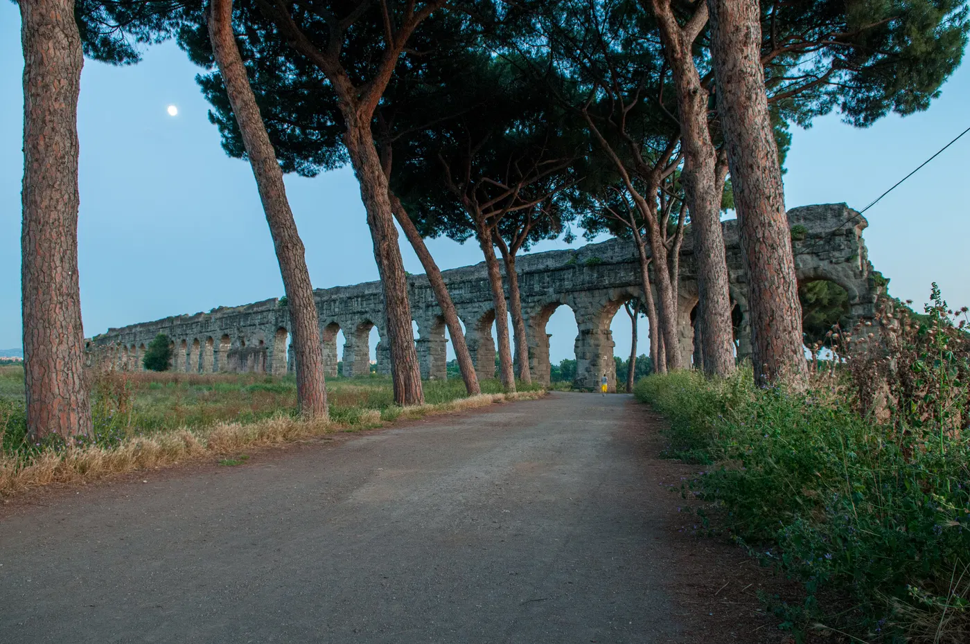 Strada fra i pini con arcate dell’acquedotto romano