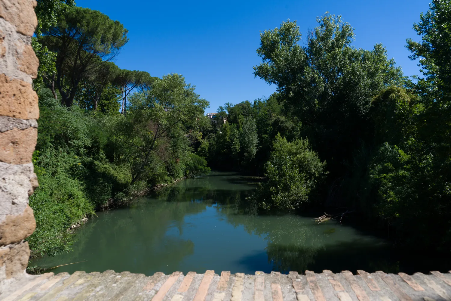 Vista sul fiume Aniene e sulla vegetazione dal Ponte Nomentano