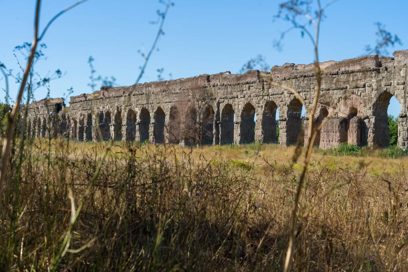 Arcate dell’acquedotto romano viste dall’erba alta