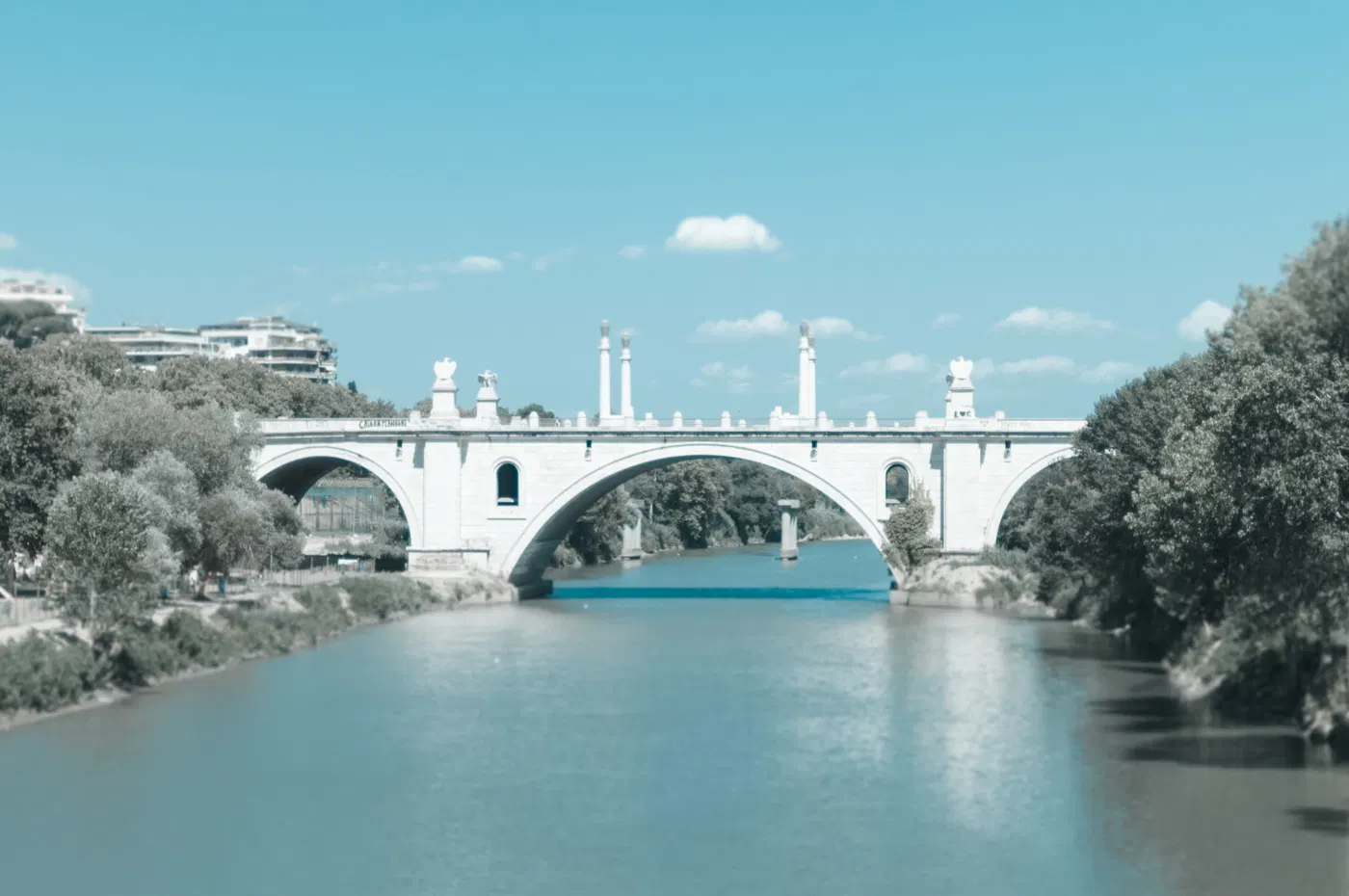 Ponte monumentale fotografato lungo il Tevere, tra alberi e acqua