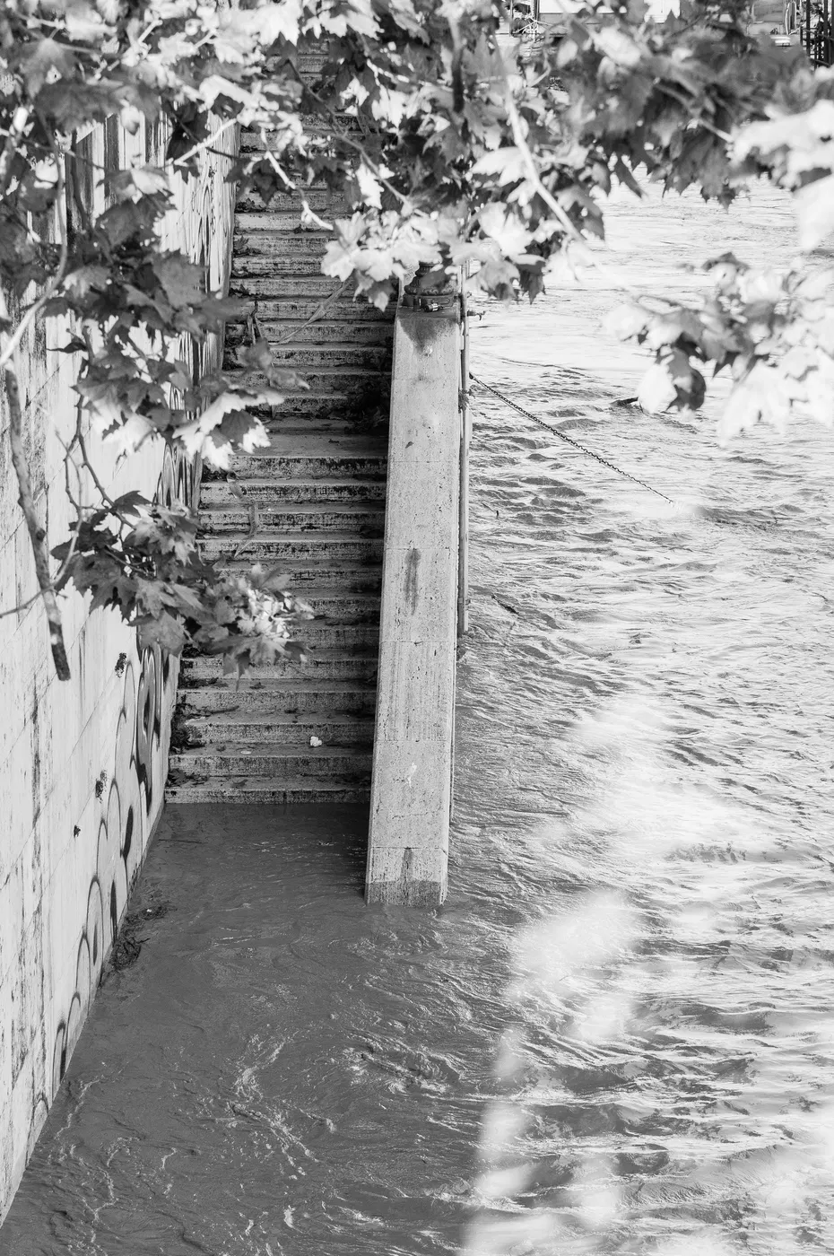 Scalinata e vegetazione presso il Lungotevere in bianco e nero