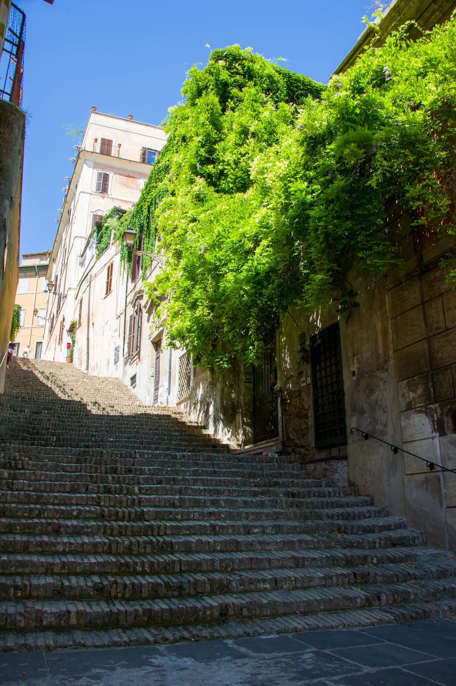 Scalinata romana con vegetazione e forte contrasto tra luce e ombra