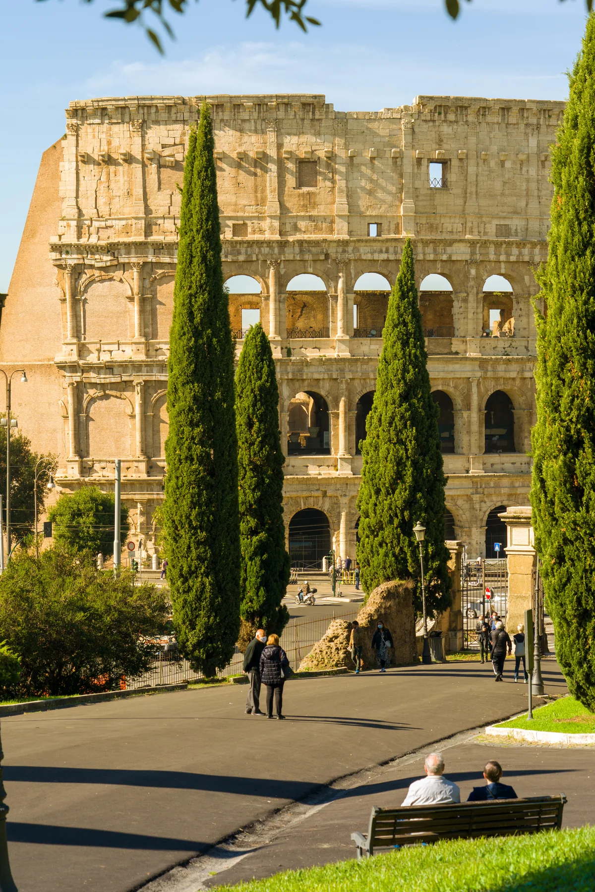 Colosseo fotografato attraverso cipressi e vegetazione dal Colle Oppio