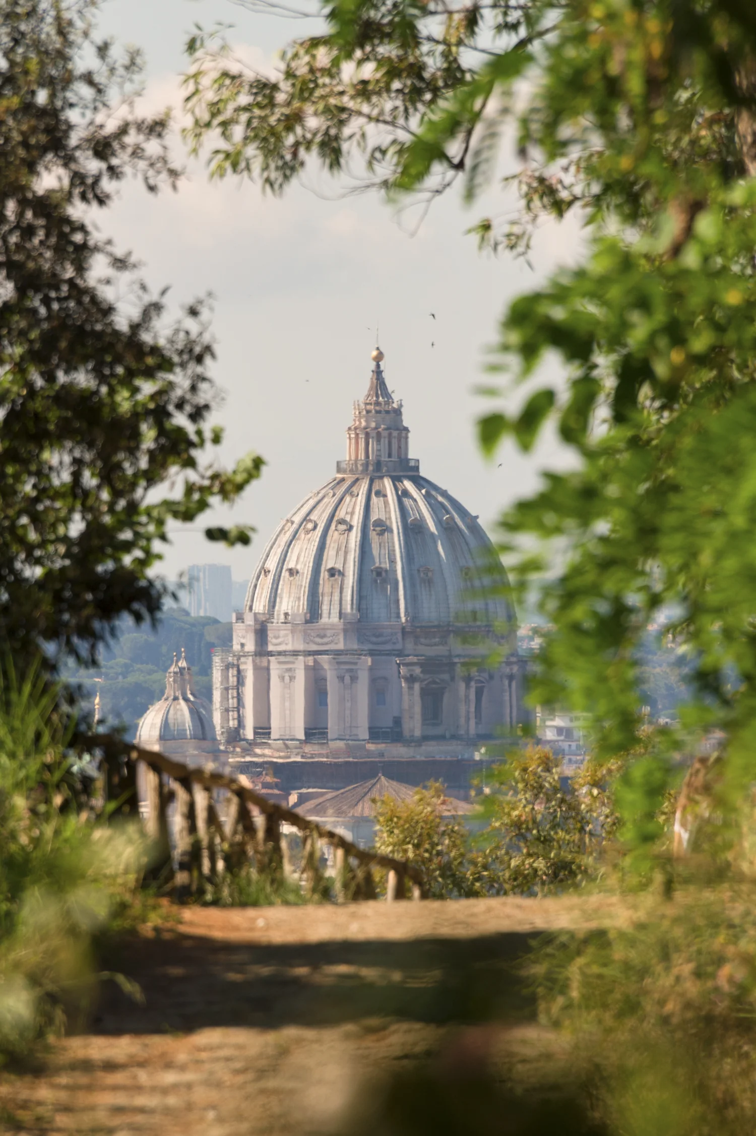 Cupola di San Pietro fotografata con teleobiettivo attraverso la vegetazione